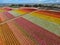 Aerial view of Carlsbad Flower Fields.