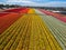 Aerial view of Carlsbad Flower Fields.