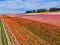 Aerial view of Carlsbad Flower Fields.