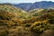 Aerial view of Carpathians mountains countryside in autumn