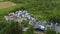 Aerial view of cars breaking yard shrouded by green trees in Northern Ireland