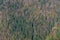 Aerial view of the Casentino forests in autumn from the top of Monte Penna, between Badia Prataglia and Camaldoli