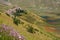 Aerial view of Castelluccio di Norcia with flowers