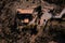 Aerial view of Castellvell medieval castle in Solsona. Catalonia