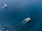 Aerial view of a catamaran crossing the ocean waters. Lanzarote, Canaries, Spain