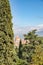Aerial View of Cathedral of Saint Mary of Flower between Trees, Italy