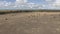 Aerial view of cattle group of cows in Australia farms