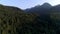 Aerial view, Caucasian mountains in summer, Arkhyz. Aerial panorama of wild pine forest