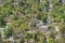 Aerial view of Central Alameda Park