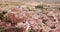 Aerial view of Cervera de la Canada cityscape with parish Church of Santa Tecla, Aragon, Spain