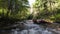 Aerial view of a clean and refreshing river in a forest, Tochigi Prefecture, Japan. Panning to the right.