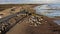 Aerial view of Climping Beach at low tide