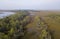 Aerial view of coastal salt marsh and forest