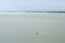 Aerial view of the coastline of mangrove forest and river landscape. Sea, palm tree, fishing village, mountain, speed boat moving