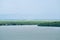 Aerial view of the coastline of mangrove forest and river landscape. Seascape view with sea, palm tree and fishing village. Island