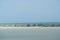 Aerial view of the coastline of mangrove forest and river landscape. Seascape view with sea, palm tree and fishing village. Island