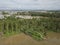 Aerial view coconut plantation surround by water