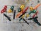 An aerial view of a collection of classroom scissors in a rack