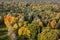 Aerial view of colored trees in sunny autumn day, Latvia