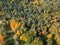 Aerial view of colored trees in sunny autumn day, Latvia