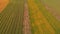 Aerial view of colorful autumn fields. Farming landscape.