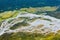 Aerial view of Colorful braided river in tundra od Alaska