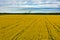 Aerial view of colorful rapeseed field in spring with blue sky. Concept, nature, fresh air, harvest