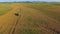 AERIAL VIEW. Combine Harvester Cutting Field