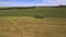 AERIAL VIEW. Combine Harvester Cutting Field