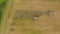 Aerial view of a combine harvester in a field harvesting wheat.