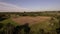 Aerial view combine harvester gathers the wheat.