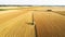 Aerial view Combine Harvester gathers the wheat at sunset. Harvesting grain field, crop season. Beautiful natural aerial landscape