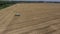 Aerial view of combine harvester. Harvest of rapeseed field.