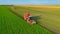 Aerial view of combine, harvester machine harvest ripe sugar beet