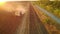 Aerial view combine harvesting on sunflower field. Mechanized harvesting sunflower. Large field of dry sunflower. Crop