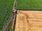 Aerial view of the combine working on the large wheat field