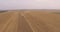 Aerial View Combines Harvest Leaving One by One