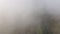 Aerial view on coniferous forest. Landscape view of Pine forest through heavy fog and clouds. Drone copter view.