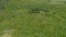 Aerial view of coniferous forest under High Tatras mountains, recovering after disastrous windstorm