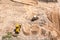 Aerial view of construction machines. industrial road rollers is leveling and compacting soil