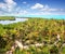 Aerial view Contoy tropical caribbean island