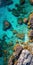 Aerial View Of Coral Reefs And Blue Water In Mediterranean Style