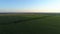 Aerial view corn field in sunset or sunrise, drone shot road around cornfield