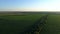 Aerial view corn field in sunset or sunrise, drone shot road around cornfield