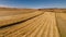 Aerial view of corn fields, Agriculture details