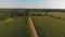 Aerial view of corn fields and a dirt road. Summer country landscape.