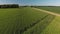 Aerial view of country road and farm fields.