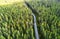 Aerial view of a country road in the forest with moving cars. Beautiful landscape. Captured from above with a drone. Aerial bird`