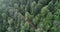 Aerial view of a country road in the forest with moving cars. Landscape. Captured from above with a drone. Aerial bird`s