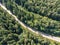 Aerial view of country road among high forest green trees